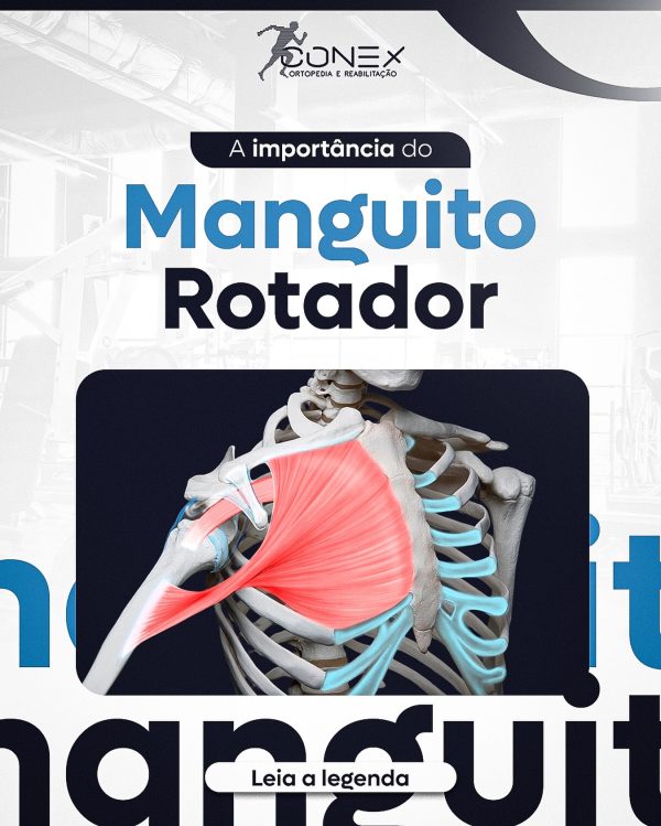 426392793_18143359273309153_7384327715724708282_n